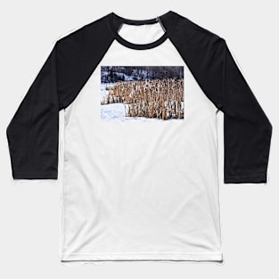 Bull Rushes in Winter. Baseball T-Shirt